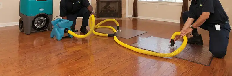 emergency water removal technicians extracting standing water from a home using professional equipment in Bellevue, WA