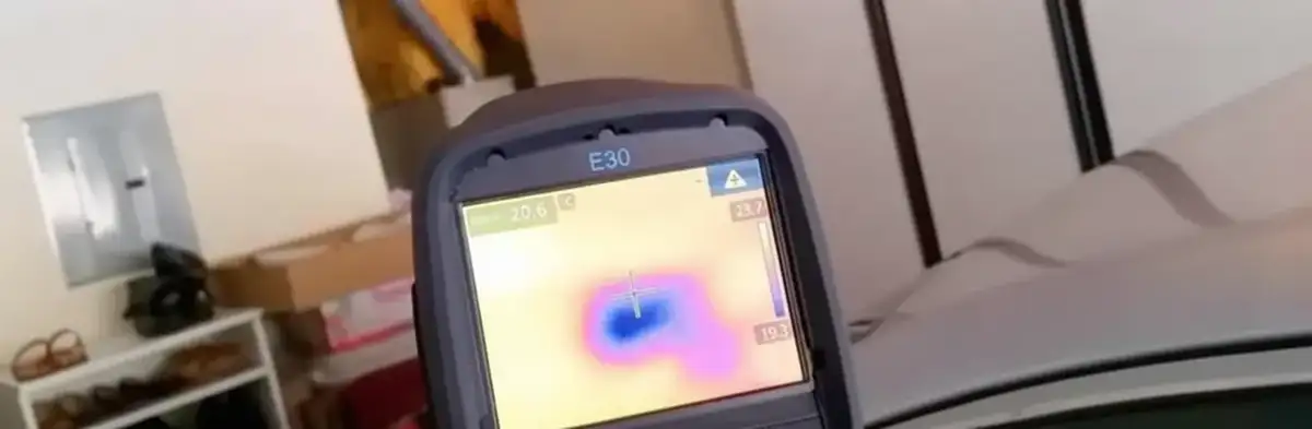 mold inspection using thermal imaging technology to detect moisture and hidden mold in a home in Bellevue, WA