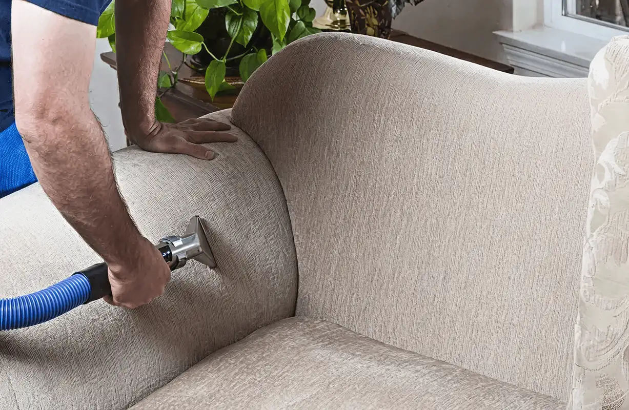 Professional upholstery cleaner deep-cleaning a fabric sofa with a handheld extraction tool and hose, Bellevue, WA.